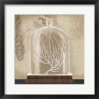 Framed Coral Cloche II