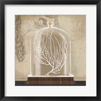 Framed 'Coral Cloche II' border=