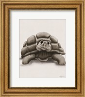 Framed 'Torty the Turtle' border=