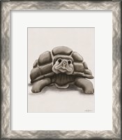 Framed 'Torty the Turtle' border=