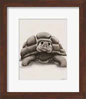 Framed 'Torty the Turtle' border=