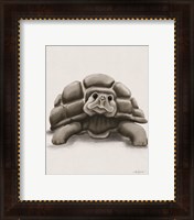 Framed 'Torty the Turtle' border=