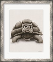 Framed 'Torty the Turtle' border=