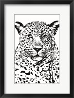 Framed Cheeky Cheetah