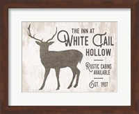 Framed White Tail Hollow