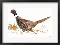 Framed Pheasant 2