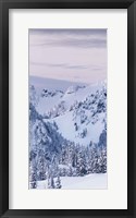 Tatoosh Range Triptych I Framed Print