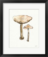 Framed Fresh Farmhouse Mushrooms II