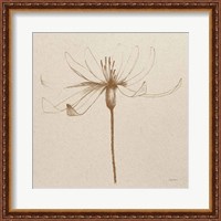 Framed 'Modern Vintage Floral III' border=