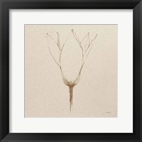 Framed 'Modern Vintage Floral V' border=