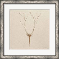 Framed 'Modern Vintage Floral V' border=