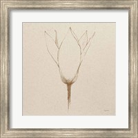 Framed 'Modern Vintage Floral V' border=