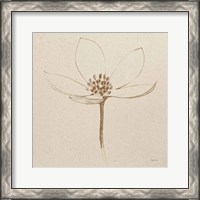 Framed 'Modern Vintage Floral IV' border=