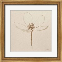 Framed 'Modern Vintage Floral IV' border=