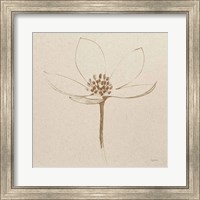 Framed 'Modern Vintage Floral IV' border=