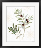 Mediterranean Motif IX Framed Print