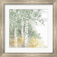 Framed 'Natures Leaves II Sage' border=