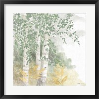 Natures Leaves II Sage Framed Print