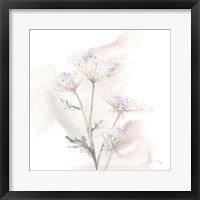 Framed 'Queen Annes Lace VI' border=