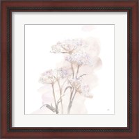 Framed 'Queen Annes Lace V' border=