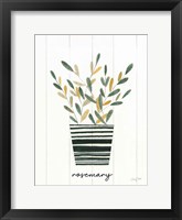 Herb Garden V Framed Print