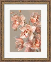 Framed Delicate Orchid II