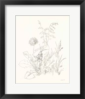 Framed 'Nature Sketchbook VII' border=