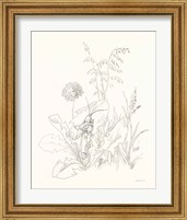 Framed 'Nature Sketchbook VII' border=