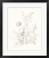 Framed 'Nature Sketchbook VII' border=