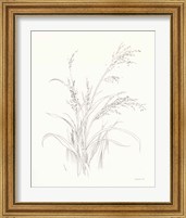 Framed 'Nature Sketchbook V' border=