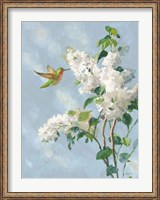 Framed Hummingbird Spring I Soft Blue