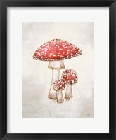 Woodland Mushroom II Framed Print