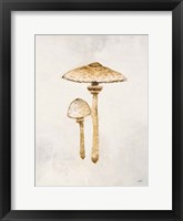 Woodland Mushroom I Framed Print