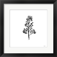 Framed Botticelli Plant IV Black