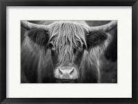 Framed Cow Nose BW