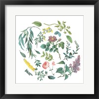 Framed 'Victorian Garden Bright I' border=