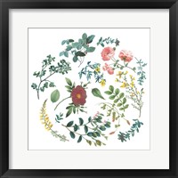 Framed 'Victorian Garden Bright II' border=