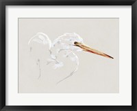 Bright Egret Sketch I Framed Print