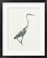 Framed Saltwater Herons I