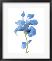 Framed Striking Blue Iris III