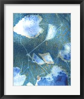 Framed Cyanotype Leaves I