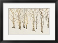 Bare Trees II Framed Print