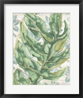 Palms & Patterns II Framed Print