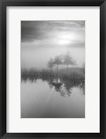 Framed Coastal Oak Series No. 44