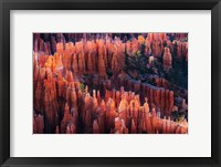 Framed Bryce Canyon at Sunset