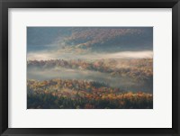 Framed Misty Morning