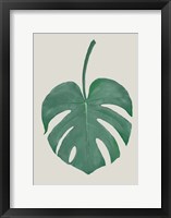 Framed Monstera Aqua 5