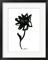 Framed Inked Florals III