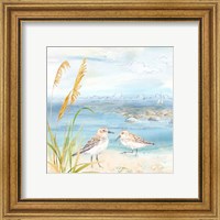 Framed 'By the Seashore V' border=