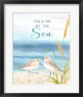 Framed 'By the Seashore VII' border=